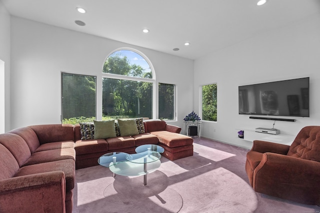 45 Brookview Ct, Groton, CT 06340 - living room with recessed lighting and carpet