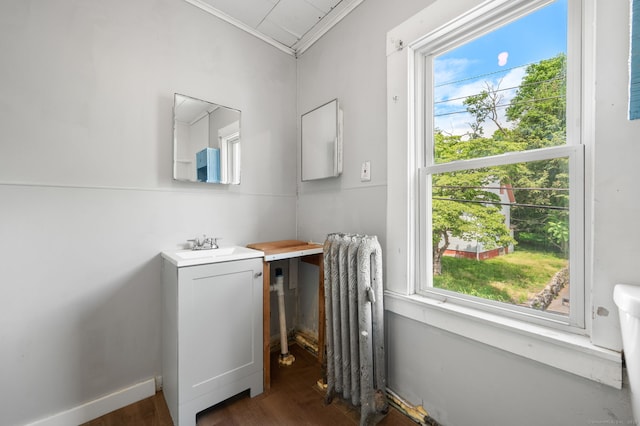 49 Freeman Ave, Norwich, CT 06360 - bathroom with crown molding, vanity, radiator heating unit, and wood finished floors