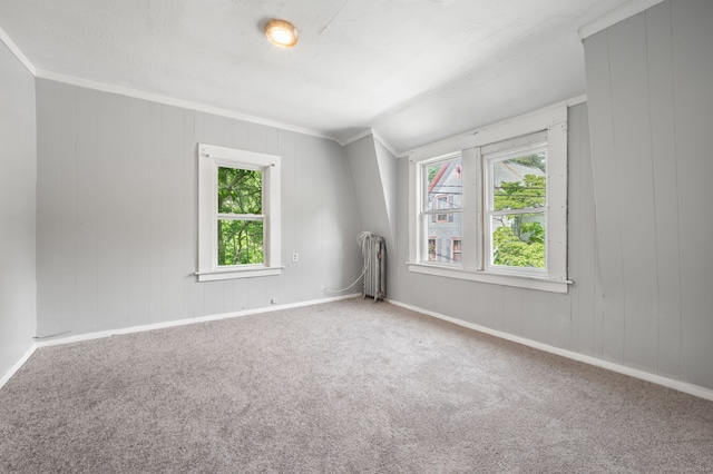 49 Freeman Ave, Norwich, CT 06360 - unfurnished room with crown molding, carpet flooring, and radiator heating unit