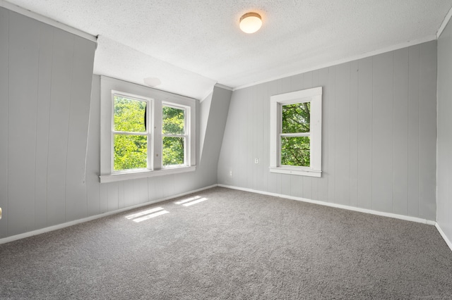 49 Freeman Ave, Norwich, CT 06360 - unfurnished room featuring a textured ceiling and carpet flooring