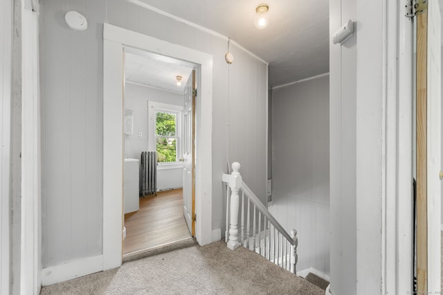 49 Freeman Ave, Norwich, CT 06360 - hall featuring an upstairs landing, radiator, carpet, and crown molding