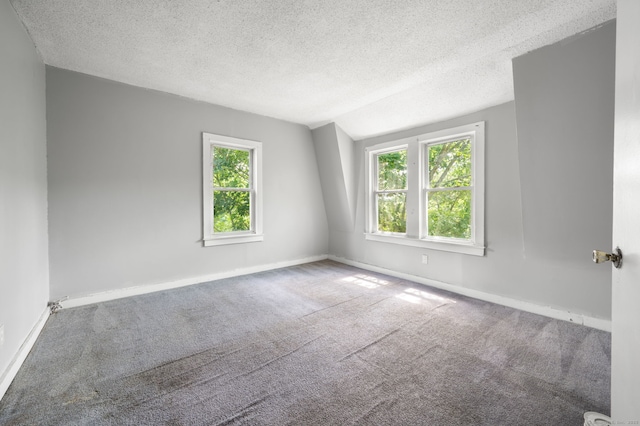 49 Freeman Ave, Norwich, CT 06360 - spare room with carpet floors, a textured ceiling, and vaulted ceiling