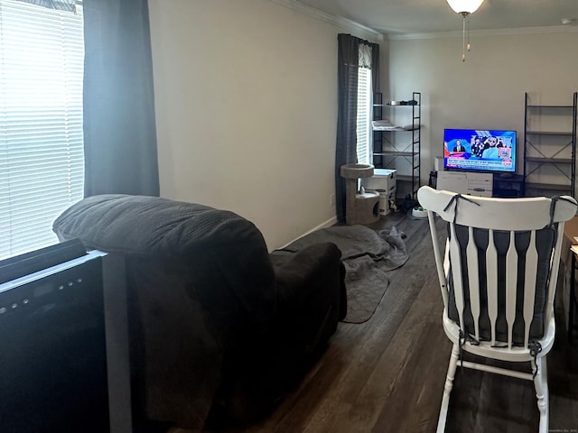 435 High St Lot 10, Groton, CT 06355 - living room featuring dark wood finished floors, crown molding, and healthy amount of natural light