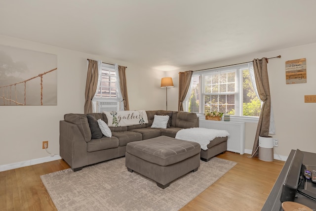 40 Rosina Rd, Hamden, CT 06514 - living room with radiator, light wood-style flooring, and healthy amount of natural light