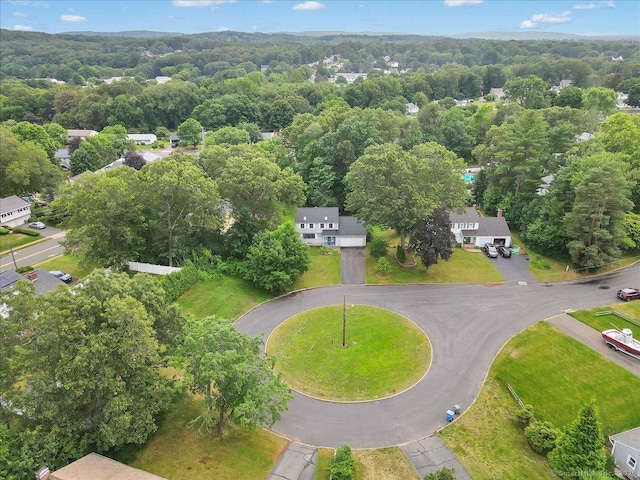 53 Montclair Dr, Manchester, CT 06042 - aerial view of a forest
