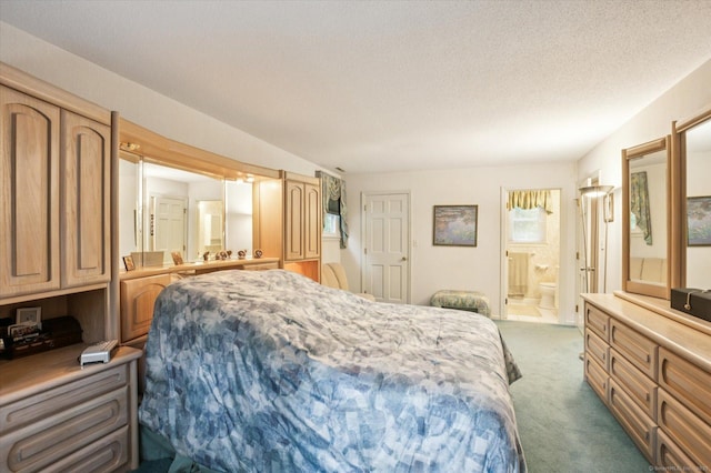 18 Banks Rd, Simsbury, CT 06070 - carpeted bedroom with ensuite bathroom and a textured ceiling
