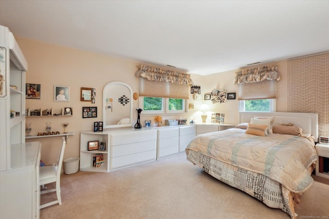 18 Banks Rd, Simsbury, CT 06070 - view of carpeted bedroom