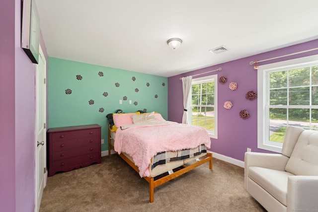 135 Goodwin Rd, Canterbury, CT 06331 - photo 28