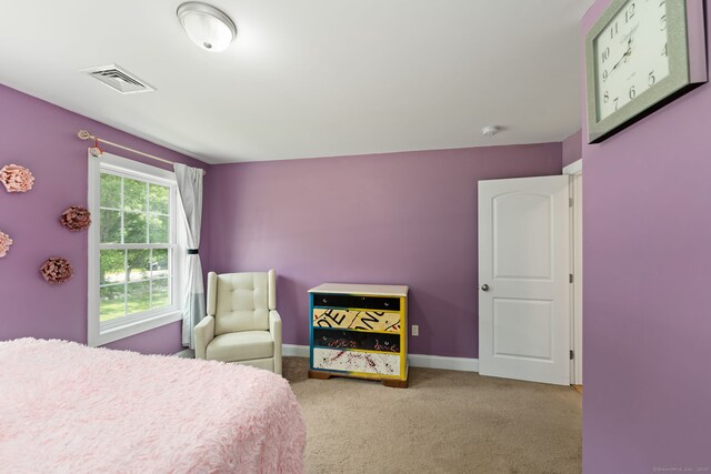 135 Goodwin Rd, Canterbury, CT 06331 - photo 29