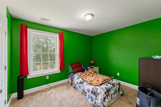135 Goodwin Rd, Canterbury, CT 06331 - photo 32