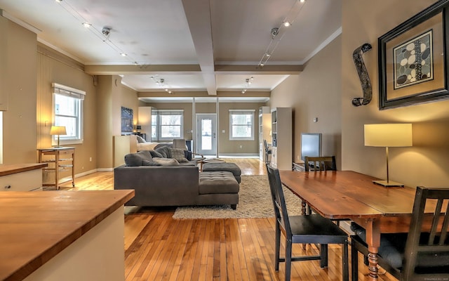 53 Canner St Apt 2, New Haven, CT 06511 - living area with light wood finished floors, rail lighting, ornamental molding, and beamed ceiling