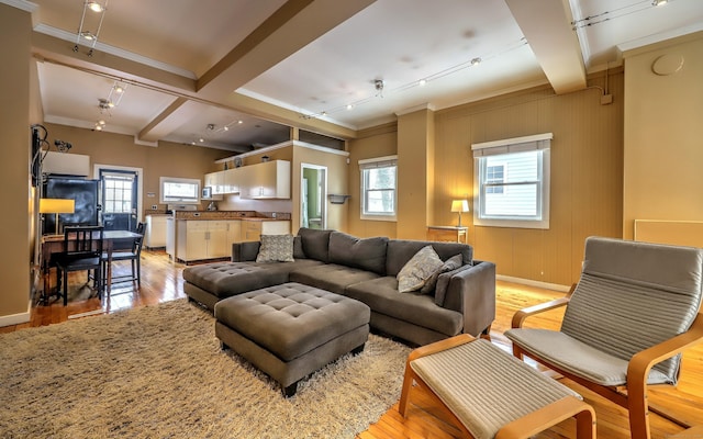 53 Canner St Apt 2, New Haven, CT 06511 - living room featuring light wood-style flooring, beam ceiling, ornamental molding, and track lighting