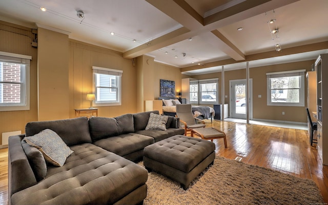 53 Canner St Apt 2, New Haven, CT 06511 - living area with crown molding, hardwood / wood-style floors, beam ceiling, and healthy amount of natural light