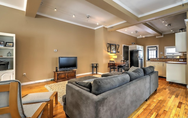 53 Canner St Apt 2, New Haven, CT 06511 - living room with track lighting, light wood-style floors, ornamental molding, and beam ceiling