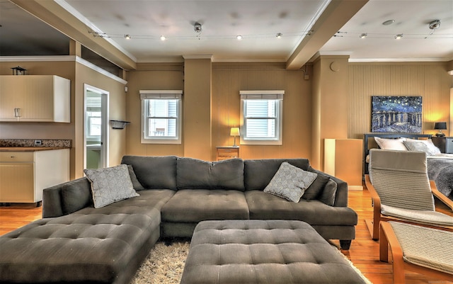 53 Canner St Apt 2, New Haven, CT 06511 - living area with track lighting, light wood finished floors, and crown molding