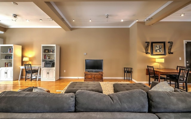 53 Canner St Apt 2, New Haven, CT 06511 - living room with rail lighting, ornamental molding, and light wood-style floors