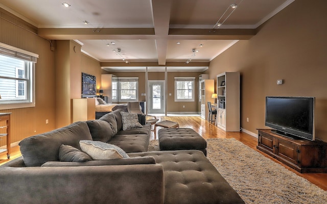 53 Canner St Apt 2, New Haven, CT 06511 - living room featuring crown molding, light wood-style floors, and beam ceiling