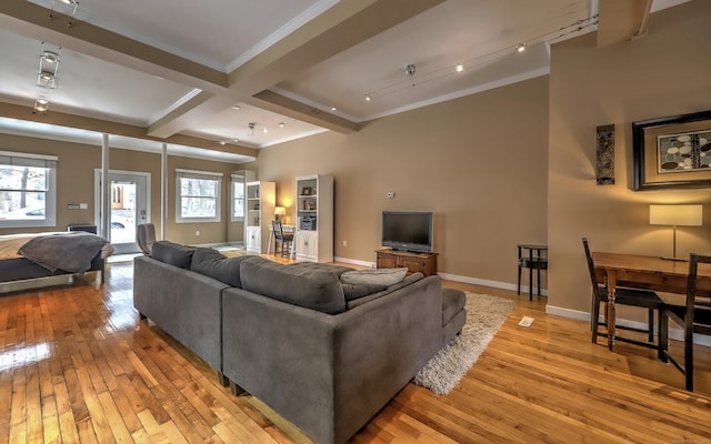 53 Canner St Apt 2, New Haven, CT 06511 - living area featuring light wood-type flooring, beamed ceiling, crown molding, and coffered ceiling