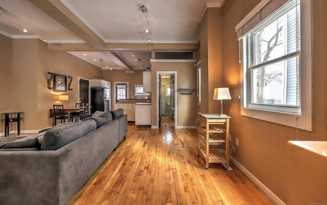 53 Canner St Apt 2, New Haven, CT 06511 - living area with ornamental molding, light wood-style flooring, and beamed ceiling