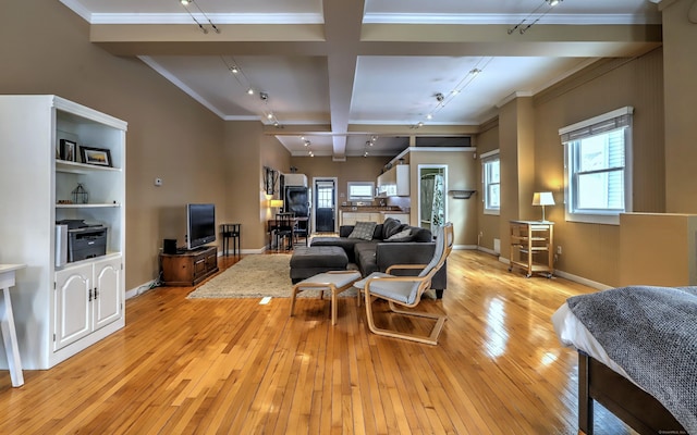 53 Canner St Apt 2, New Haven, CT 06511 - living room with track lighting, light wood-style floors, beamed ceiling, and ornamental molding