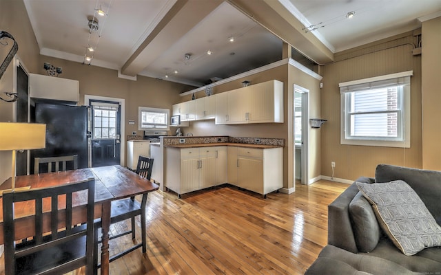 53 Canner St Apt 2, New Haven, CT 06511 - kitchen featuring track lighting, freestanding refrigerator, light wood finished floors, beam ceiling, and plenty of natural light