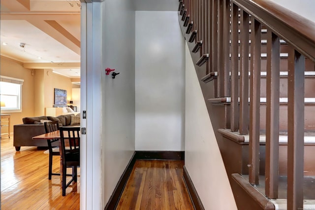 53 Canner St Apt 2, New Haven, CT 06511 - stairway featuring hardwood / wood-style flooring