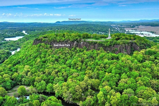 53 Canner St Apt 2, New Haven, CT 06511 - bird's eye view of a heavily wooded area and a water and mountain view