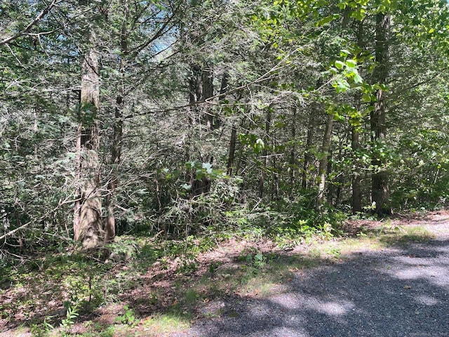 17 Shannon Dr, Barkhamsted, CT 06063