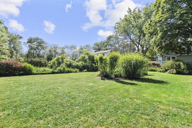 36 Greenfield St, Windsor, CT 06095 - view of green lawn