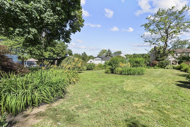 36 Greenfield St, Windsor, CT 06095 - view of green lawn