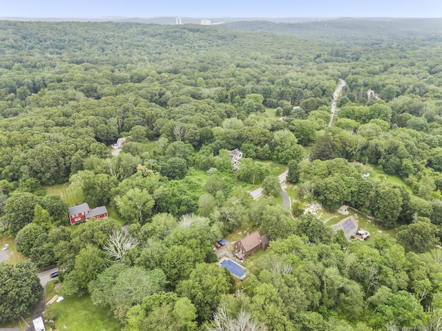 64 Iron St, Ledyard, CT 06339 - view of property location with a forest