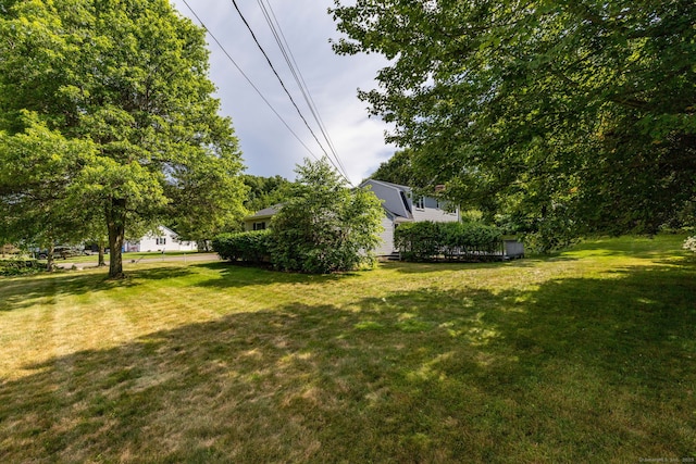 10 Empire Way, Bristol, CT 06010 - view of grassy yard