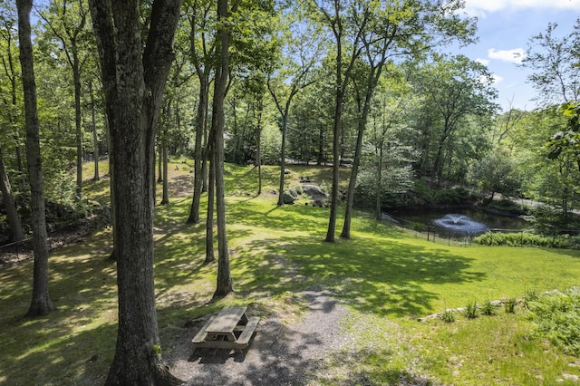 319 Main St S, Bethlehem, CT 06751 - photo 27