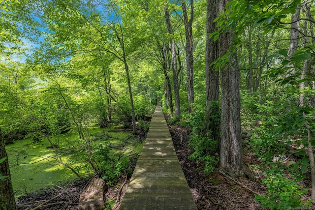 47 Chestnut Hill Rd, Stamford, CT 06903 - photo 2