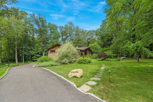 47 Chestnut Hill Rd, Stamford, CT 06903 - photo 5