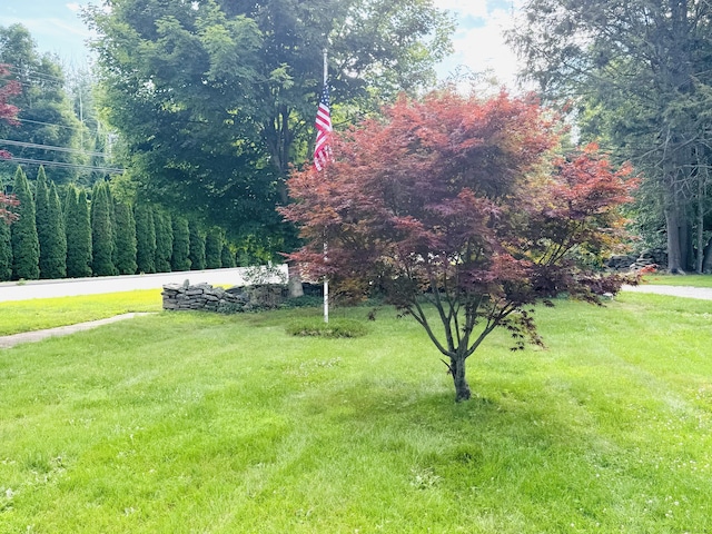 361 Westminster Rd, Canterbury, CT 06331 - photo 35
