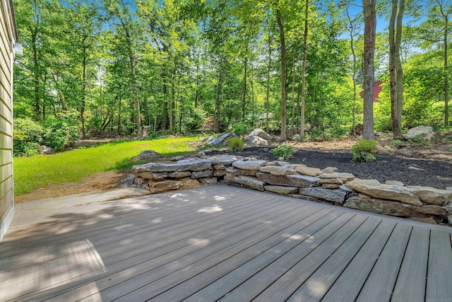 73 Nedobity Rd, Haddam, CT 06441 - photo 39
