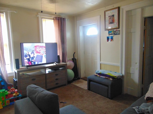 69 W Liberty St, Waterbury, CT 06706 - view of carpeted living room