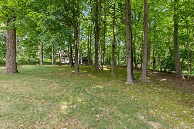 392 Hoyt Farm Rd, New Canaan, CT 06840 - view of green lawn