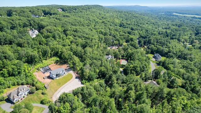60 Vermillion Dr, Avon, CT 06001