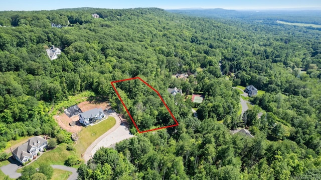 60 Vermillion Dr, Avon, CT 06001