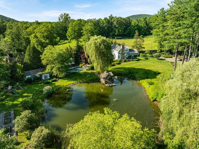 57 Indian Trail Rd, New Milford, CT 06776 - photo 37