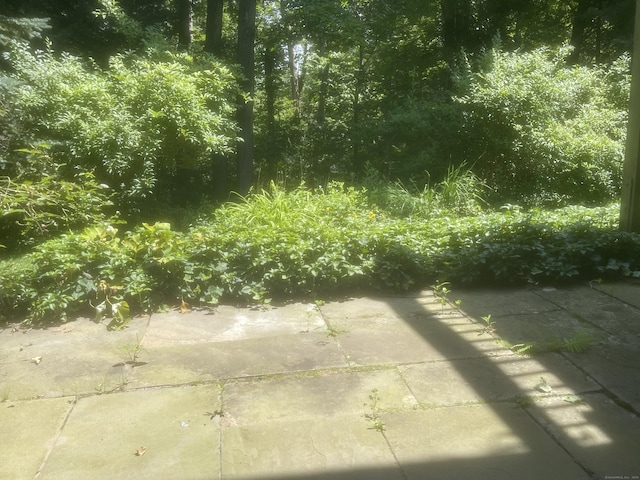 277 Heritage Vlg Unit C, Southbury, CT 06488 - view of patio