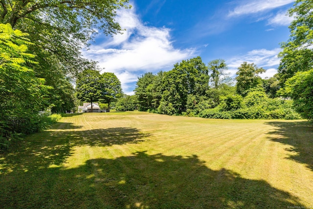 934 Jerome Ave, Bristol, CT 06010 - view of grassy yard