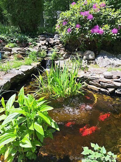 70 Bayne St, Norwalk, CT 06851 - exterior view of a garden pond