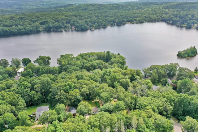112 Lake Rd, Andover, CT 06232 - bird's eye view of a heavily wooded area and a large body of water