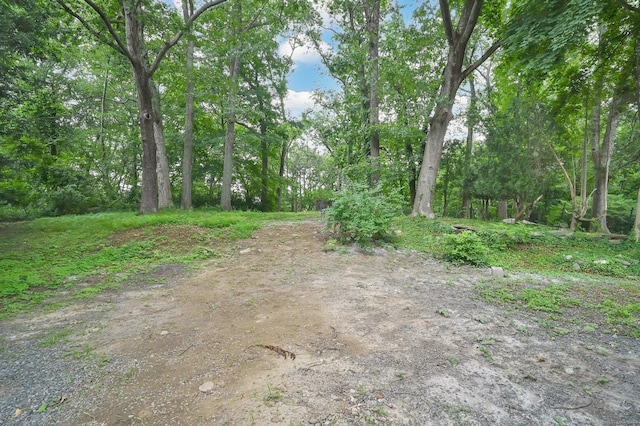 112 Lake Rd, Andover, CT 06232 - view of yard