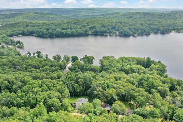 112 Lake Rd, Andover, CT 06232 - bird's eye view of a nearby body of water