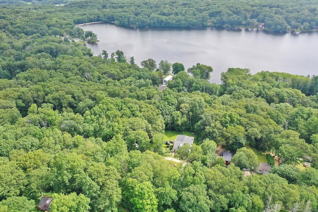 112 Lake Rd, Andover, CT 06232 - aerial view of a heavily wooded area and a large body of water