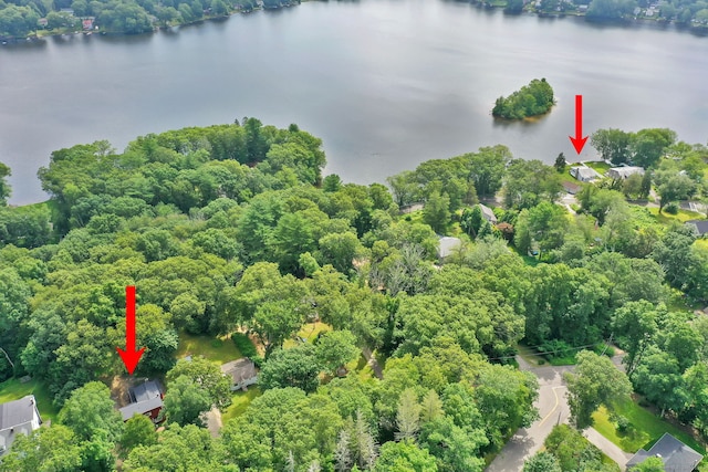 112 Lake Rd, Andover, CT 06232 - drone / aerial view of a large body of water and a forest